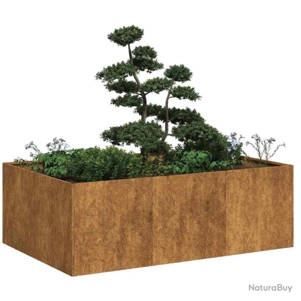 Jardini�re rouill� 120x80x40 cm acier inoxydable