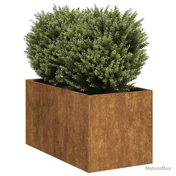 Jardini�re rouill� 40x80x40 cm acier inoxydable