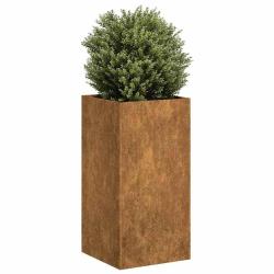 Jardini&egrave;re rouill&eacute; 40x40x80 cm acier inoxydable