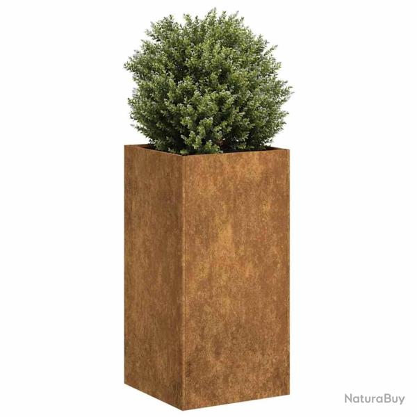 Jardini�re rouill� 40x40x80 cm acier inoxydable