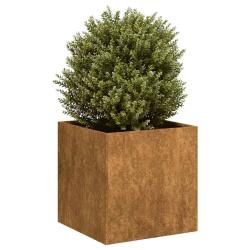 Jardini&egrave;re rouill&eacute; 40x40x40 cm acier inoxydable