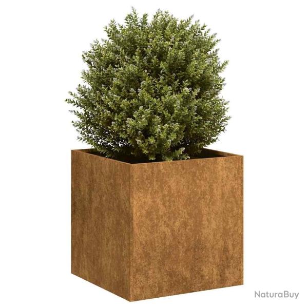 Jardini�re rouill� 40x40x40 cm acier inoxydable