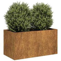 Jardini&egrave;re rouill&eacute; 80x40x40 cm acier inoxydable