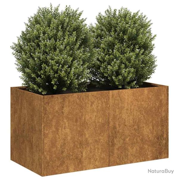 Jardini�re rouill� 80x40x40 cm acier inoxydable