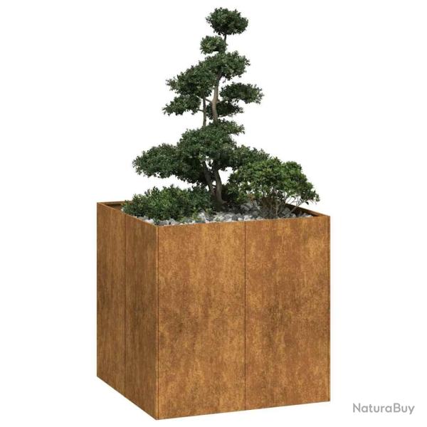 Jardini�re rouill� 80x80x80 cm acier inoxydable