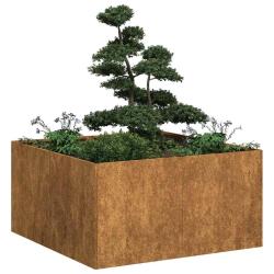 Jardini&egrave;re rouill&eacute; 80x80x40 cm acier inoxydable alsavelo