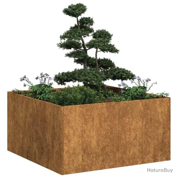 Jardini�re rouill� 80x80x40 cm acier inoxydable
