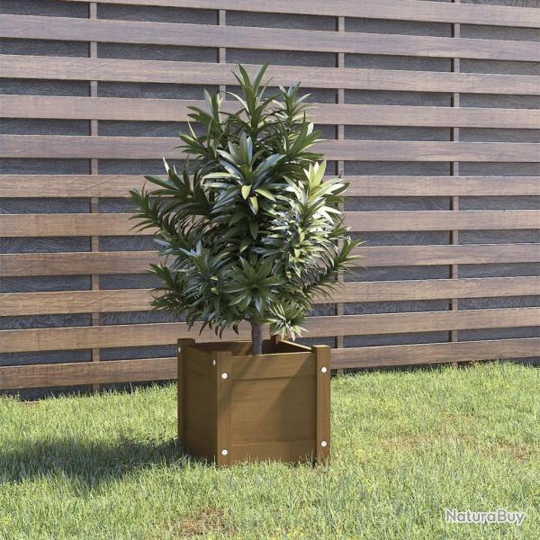 Jardini�re ext�rieur Marron miel 31x31x31 cm Bois de pin massif alsavelo