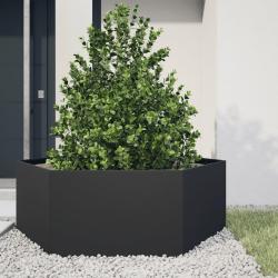 Jardini&egrave;re noir hexagone 138x120x45 cm acier alsavelo