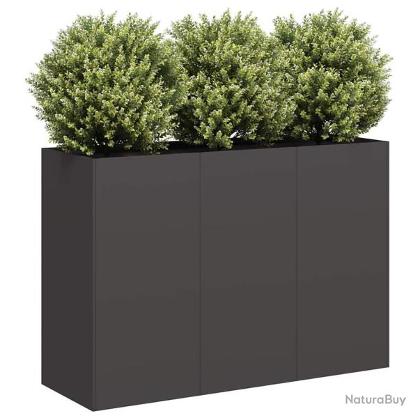 Jardini�re noir 120x40x80 cm acier lamin� � froid