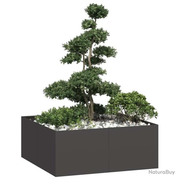 Jardinire noir 100x100x40 cm acier alsavelo