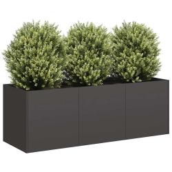 Jardini&egrave;re noir 120x40x40 cm acier lamin&eacute; &agrave; froid