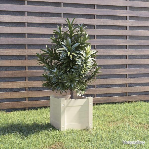 Jardini�re d'ext�rieur Blanc 31x31x31 cm Bois de pin massif