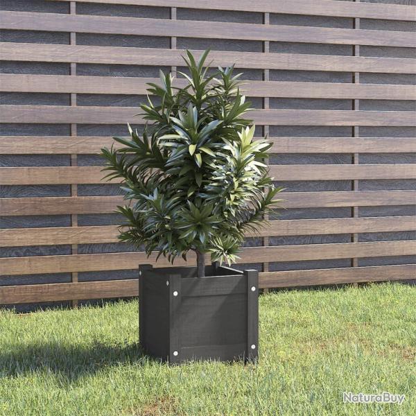 Jardini�re d'ext�rieur Gris 31x31x31 cm Bois de pin massif alsavelo
