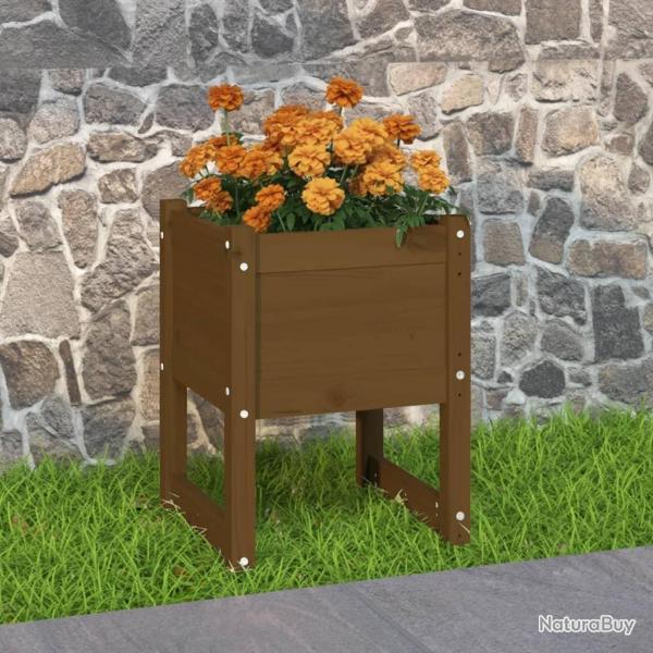 Jardinire Marron miel 40x40x52,5 cm Bois massif de pin alsavelo