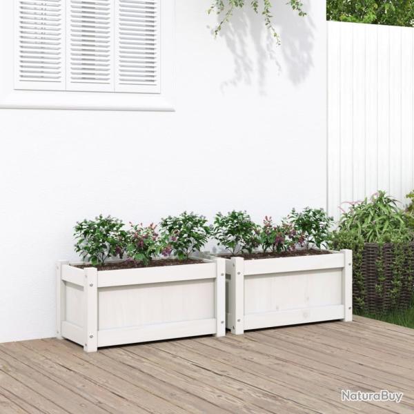 Jardini�res 2 pcs blanc bois de pin massif alsavelo