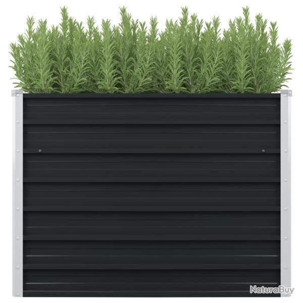 Jardini�re sur�lev�e Anthracite 100x100x77 cm Acier galvanis�