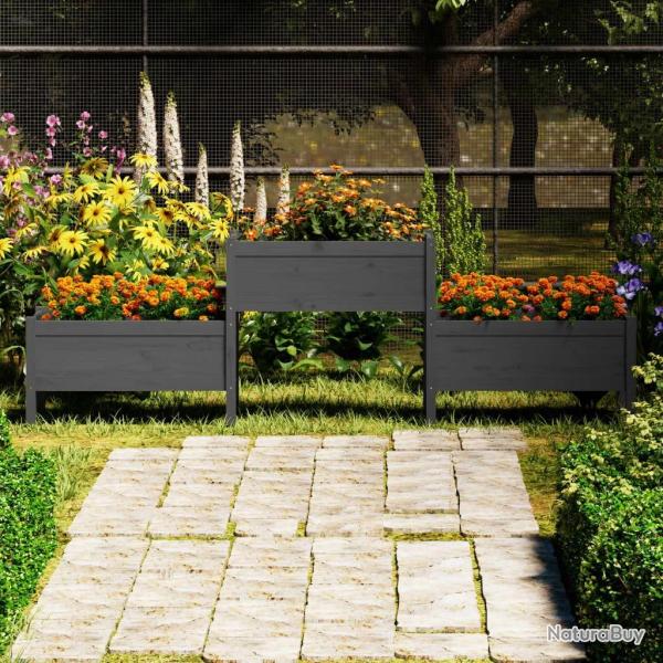 Jardini�re Gris 245,5x44x75 cm Bois massif de pin