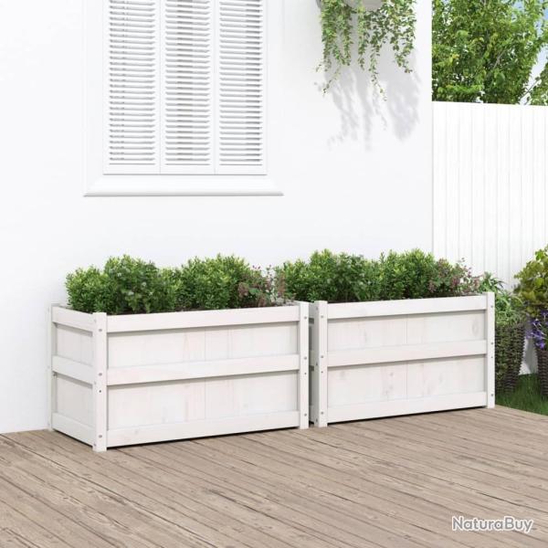 Jardini�res 2 pcs blanc bois de pin massif