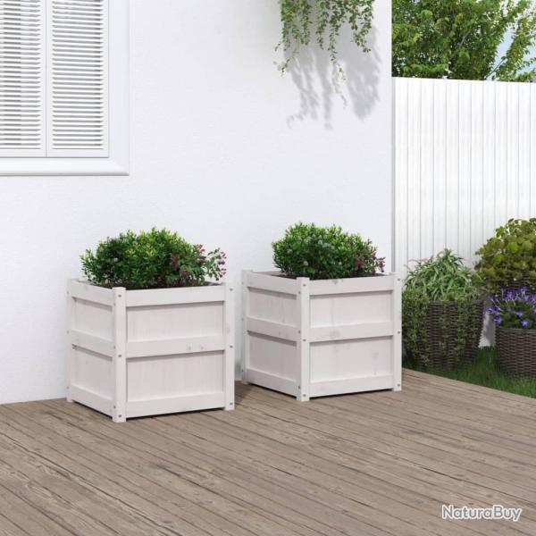 Jardini�res 2 pcs blanc bois de pin massif