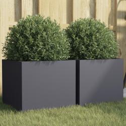 Jardini&egrave;res 2 pcs anthracite 32x30x29 cm acier