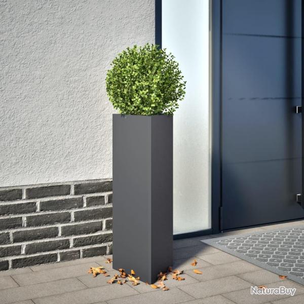 Jardini�res 2 pcs anthracite triangulaire 30x26x75 cm acier