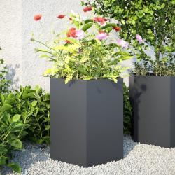 Jardini&egrave;res 2 pcs anthracite hexagone 46x40x45 cm acier