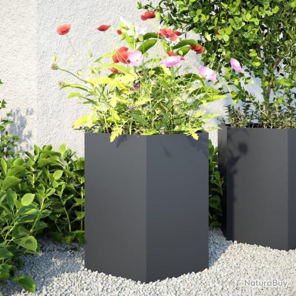 Jardinires 2 pcs anthracite hexagone 46x40x45 cm acier alsavelo