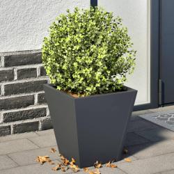 Jardini&egrave;res 2 pcs anthracite 30x30x30 cm acier