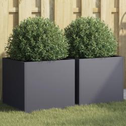 Jardini&egrave;res 2 pcs anthracite 42x40x39 cm acier alsavelo