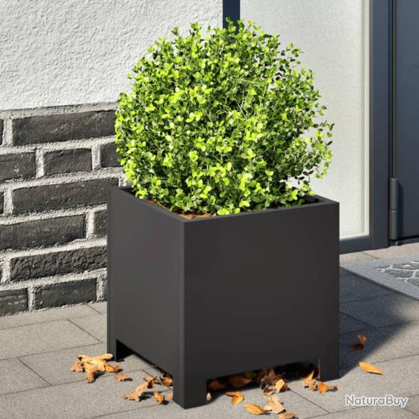 Jardini�res 2 pcs noir 30x30x30 cm acier