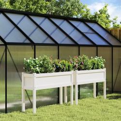 Jardini&egrave;res 2 pcs avec pieds blanc bois de pin massif