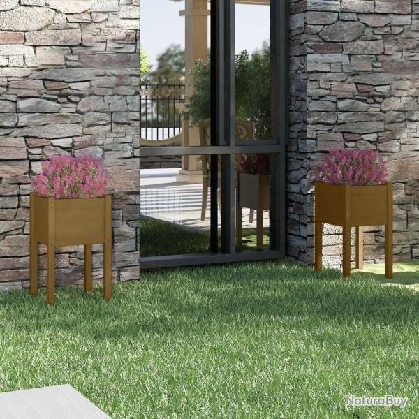Jardinires 2 pcs Marron miel 40x40x70 cm Bois de pin massif alsavelo