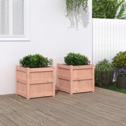 Jardini&egrave;res 2 pcs bois massif douglas