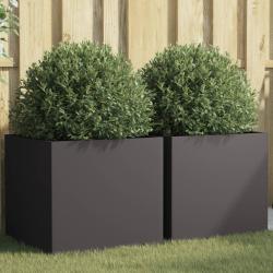 Jardini&egrave;res 2 pcs noir 49x47x46 cm acier
