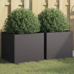 Jardini&egrave;res 2 pcs noir 42x40x39 cm acier