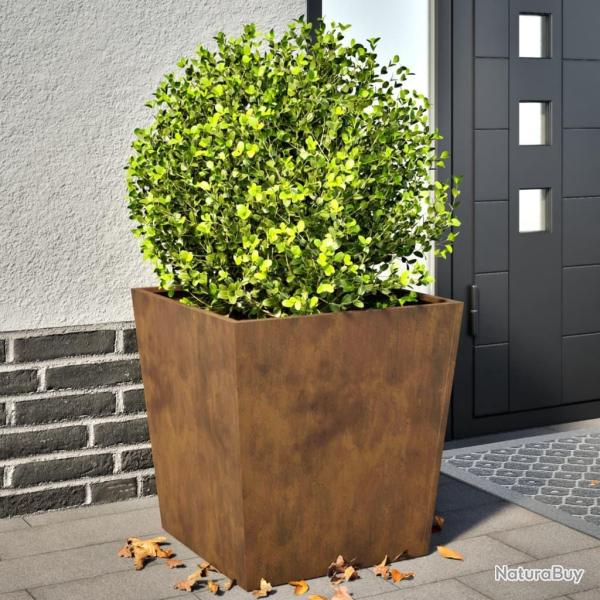 Jardini�res 2 pcs 50x50x50 cm acier r�sistant aux intemp�ries