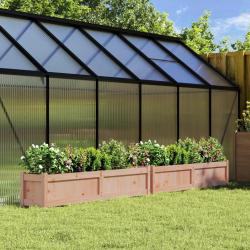 Jardini&egrave;res 2 pcs bois massif douglas alsavelo