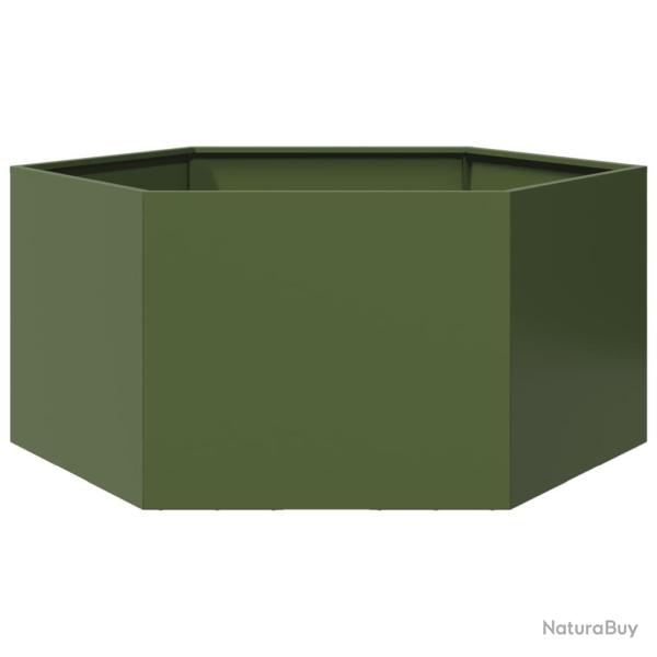 Jardini�re vert olive hexagone 104x90x45 cm acier