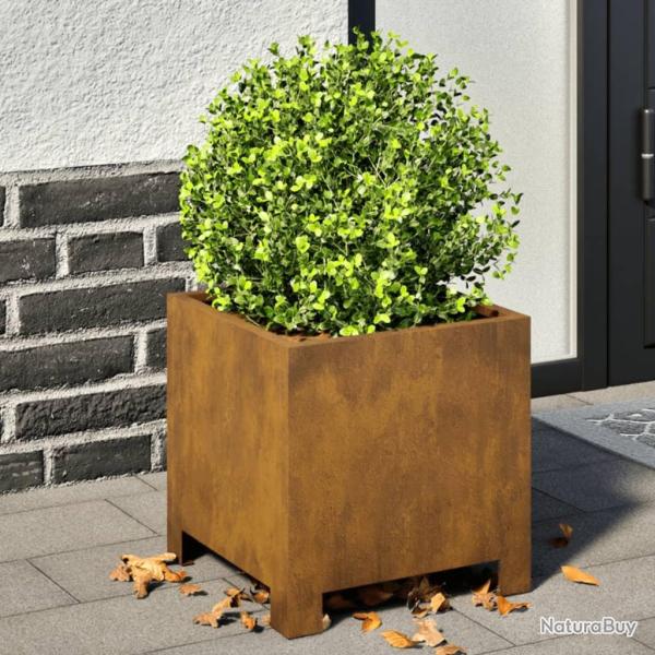 Jardini�res 2 pcs 30x30x30 cm acier r�sistant aux intemp�ries