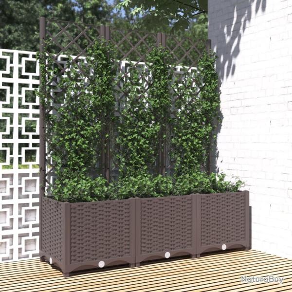 Jardini�re avec treillis Marron 120x40x136 cm PP