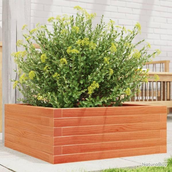 Jardinire cire marron 60x60x23 cm bois de pin massif alsavelo