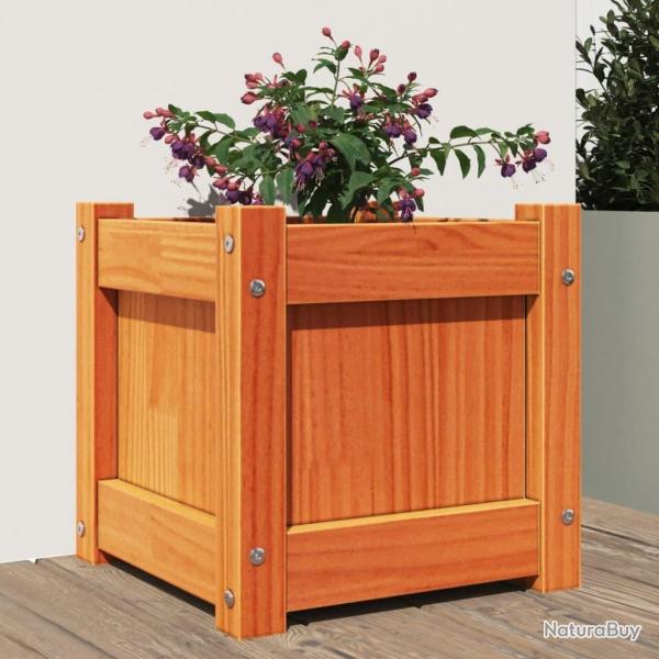 Jardini�re cire marron 31x31x31 cm bois de pin massif alsavelo