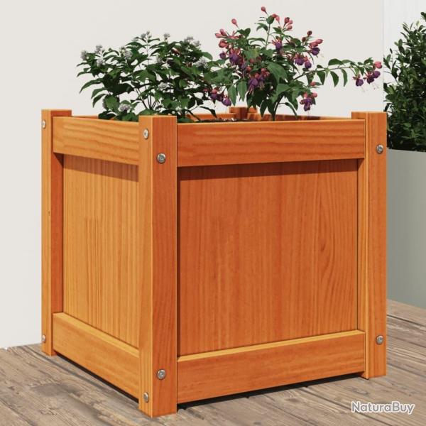 Jardinire cire marron 40x40x40 cm bois de pin massif alsavelo