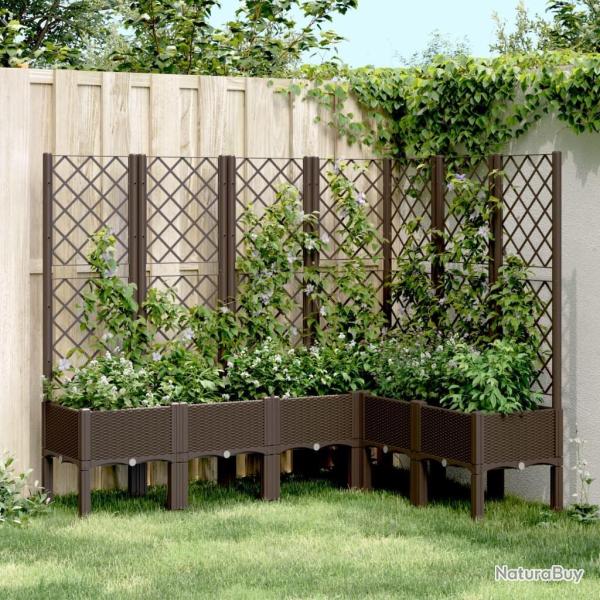 Jardinire avec treillis marron 160x120x142 cm PP alsavelo
