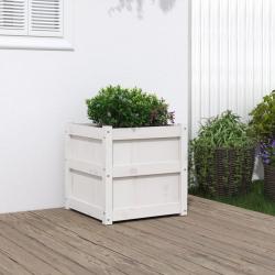 Jardini&egrave;re blanc 50x50x50 cm bois de pin massif