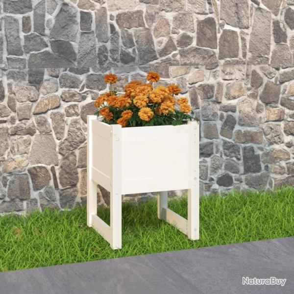 Jardinire Blanc 40x40x52,5 cm Bois massif de pin alsavelo