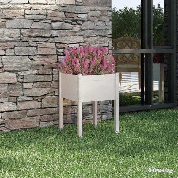 Jardinire Blanc 50x50x70 cm Bois de pin massif alsavelo