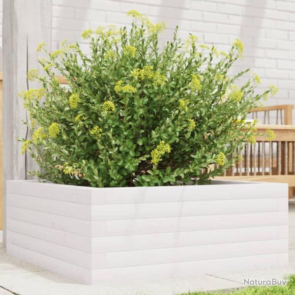 Jardini�re blanc 60x60x23 cm bois de pin massif alsavelo