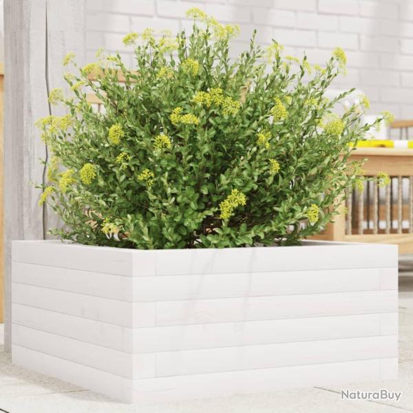 Jardinire blanc 50x50x23 cm bois de pin massif alsavelo